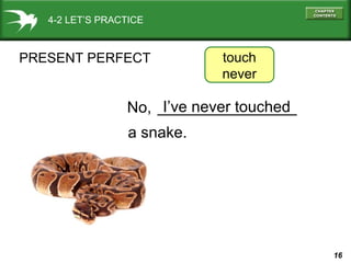 16
________________
4-2 LET’S PRACTICE
PRESENT PERFECT
I’ve never touched
touch
never
No,
a snake.
 