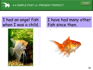 31
4-4 SIMPLE PAST vs. PRESENT PERFECT
I had an angel fish
when I was a child.
I have had many other
fish since then.
 