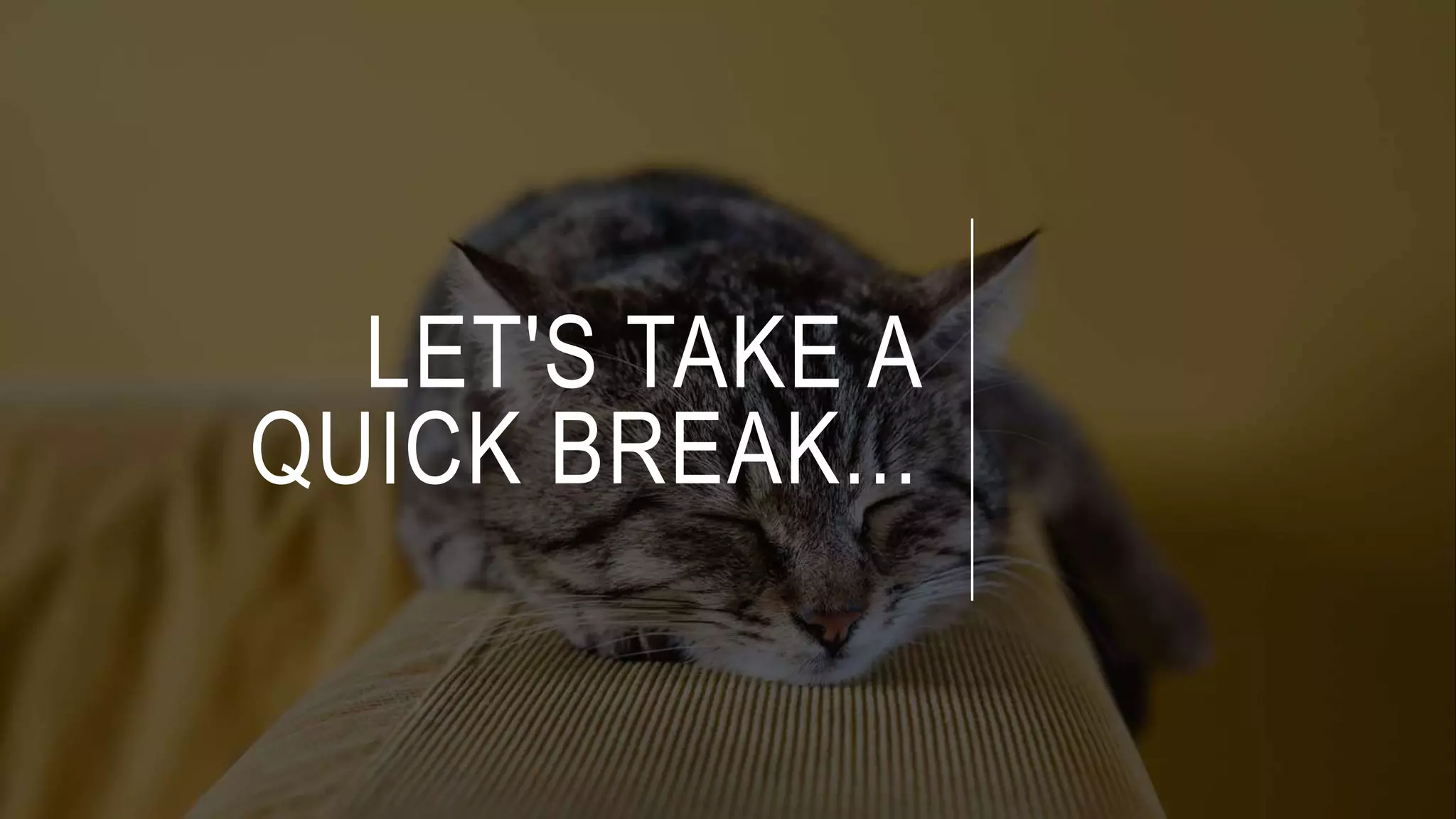 LET'S TAKE A
QUICK BREAK...
 