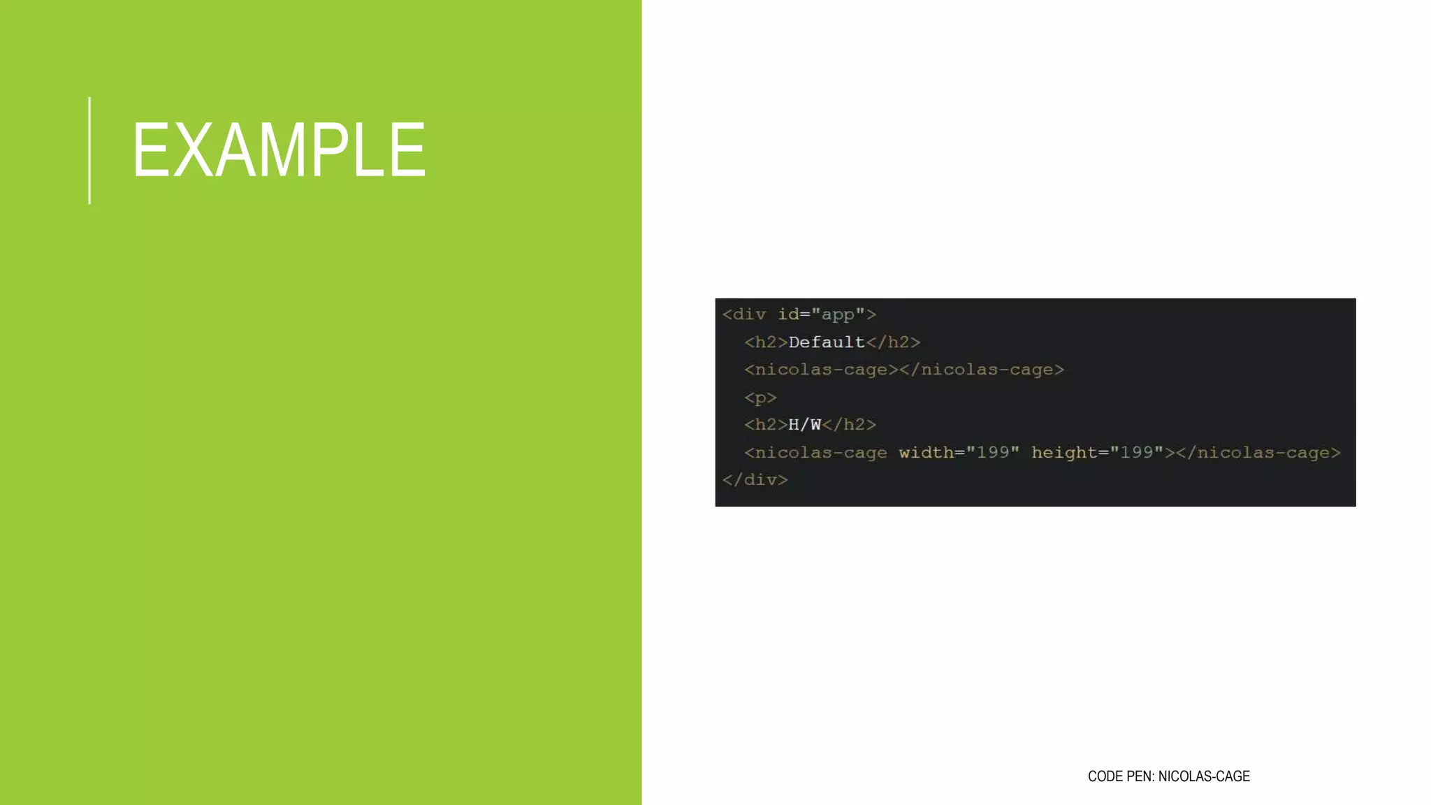 EXAMPLE
CODE PEN: NICOLAS-CAGE
 