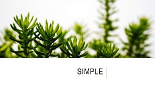 SIMPLE
 