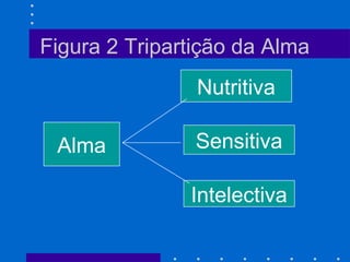Alma
Nutritiva
Sensitiva
Intelectiva
Figura 2 Tripartição da Alma
 