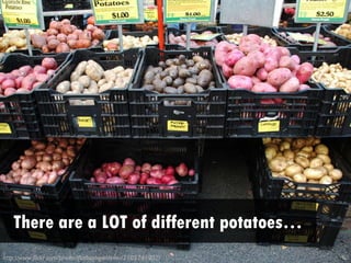 There are a LOT of different potatoes…
http://www.flickr.com/photos/flatbushgardener/2105741902/
http://www.flickr.com/photos/aarronwalter/4629078087/
 