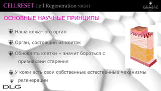 Наша кожа- это орган
Орган, состоящий из клеток
Обновлять клетки – значит бороться с
признаками старения
У кожи есть свои собственные естественные механизмы
регенерации
ОСНОВНЫЕ НАУЧНЫЕ ПРИНЦИПЫ
 