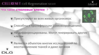 Присутствуют во всех живых организмах.
Способны к пролиферации (самовозрождению).
Не дифференцированы. Могут генерировать другие
клетки
Являются объектом многих исследований по
восстановлению тканей и даже органов
Что такое стволовые клетки ?
 