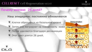 Почему именно 28 дней?
Наш эпидермис постоянно обновляется
Клетки образуются на базальном уровне
Затем они мигрируют на поверхность кожи
Потом удаляются благодаря десквамации
Этот цикл длится 28 дней.
 