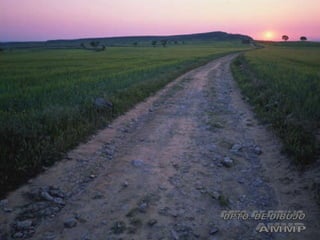 DPTO. DE DIBUJO AMMP