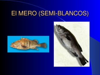 El MERO
El MERO (SEMI­BLANCOS)
(SEMI­BLANCOS)
 
