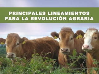 PRINCIPALES LINEAMIENTOS
PARA LA REVOLUCIÓN AGRARIA
 