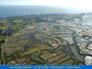 Batz sur Mer Les marais salants :  un véritable « Patchwork » multicolore … 