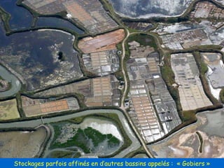 Stockages parfois affinés en d’autres bassins appelés :  « Gobiers » 