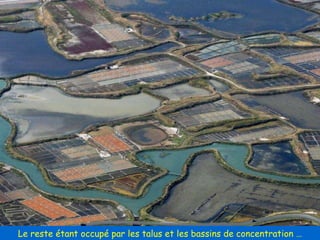 Le reste étant occupé par les talus et les bassins de concentration … 