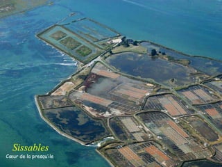 Sissables Cœur de la presqu’ile 