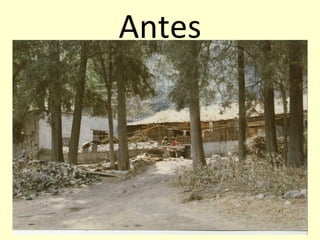 Antes