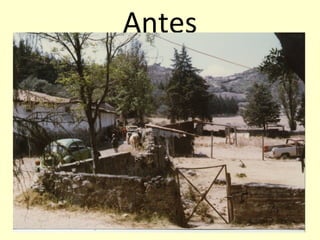 Antes