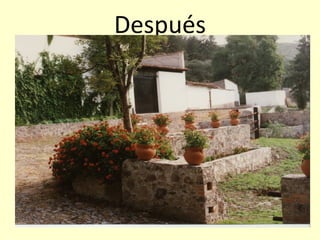 Después