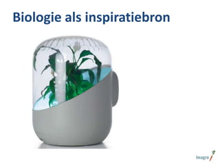 Biologie als inspiratiebron

 