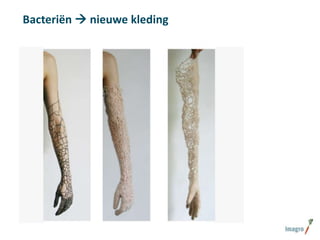 Bacteriën  nieuwe kleding

 