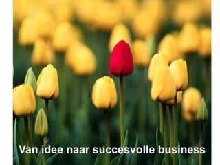 Van idee naar succesvolle business

 
