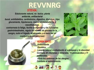 STEVIA:
           Edulcorante natural, no toxica. planta
                   antiácida, antibacterial
bucal, antidiabética, cardiotónica, digestiva, diurética, hipo
   glucemiante, hipotensora, mejora el metabolismo y
                       vasodilatadora.
 contrarresta la fatiga, facilita la digestión y las funciones
  gastrointestinales, regula los niveles de glucosa en la
   sangre, nutre el hígado, el páncreas y el bazo.(es un
                 coadyuvante del páncreas)

                                    YERBA MATÉ:
                                    Antioxidante.
                                    Diurético.
                                    Laxante natural combatiendo el sobrepeso y la obesidad.
                                    Contiene 24 vitaminas y minerales, 15 aminoácidos y 11
                                    polifenoles.
                                    Alivia los síntomas de las alergias.
                                    Combate el estreñimiento.
 