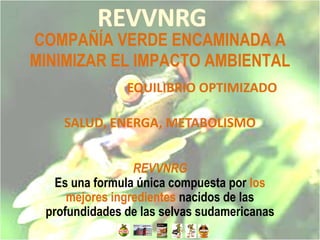 COMPAÑÍA VERDE ENCAMINADA A
MINIMIZAR EL IMPACTO AMBIENTAL
               EQUILIBRIO OPTIMIZADO

    SALUD, ENERGA, METABOLISMO


                 REVVNRG
   Es una formula única compuesta por los
     mejores ingredientes nacidos de las
 profundidades de las selvas sudamericanas
 