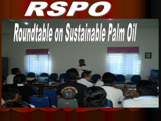 RSPO Roundtable on Sustainable Palm Oil 