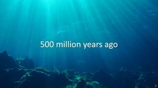 2
500	
  million	
  years	
  ago
 