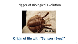 5
Trigger	
  of	
  Biological	
  Evolu8on
Origin	
  of	
  life	
  with	
  “Sensors	
  (Eyes)”
Trilobite
 
