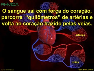 artérias veias 14 O sangue sai com força do coração, percorre  “quilômetros” de artérias e volta ao coração trazido pelas veias. Copyright  © RHVIDA S/C Ltda. www.rhvida.com.br 