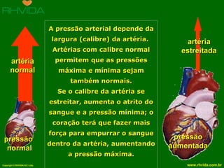 A pressão arterial depende da largura (calibre) da artéria.  Artérias com calibre normal permitem que as pressões máxima e mínima sejam também normais. Se o calibre da artéria se estreitar, aumenta o atrito do sangue e a pressão mínima; o coração terá que fazer mais força para empurrar o sangue dentro da artéria, aumentando a pressão máxima. pressão  normal artéria normal pressão aumentada artéria estreitada 