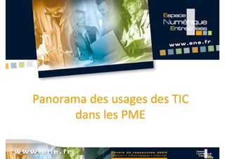 Panorama des
usages des TIC dans
     les
     l PME
 