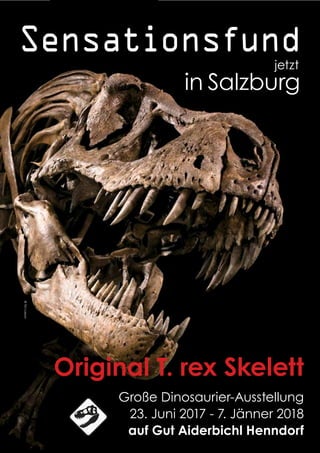 ©TimLarson
Sensationsfund
in Salzburg
Original T. rex Skelett
Große Dinosaurier-Ausstellung
23. Juni 2017 - 7. Jänner 2018
auf Gut Aiderbichl Henndorf
jetzt
©TimLarson
 