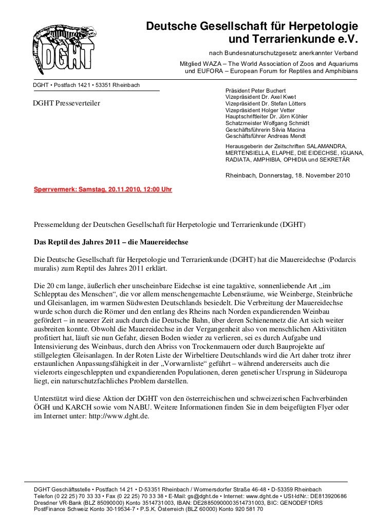 Pressemeldung Reptil Des Jahres 2011 Die Mauereidechse Pdf