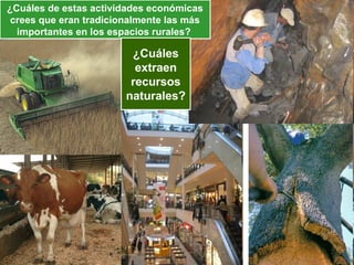 ¿Cuáles de estas actividades económicas
 crees que eran tradicionalmente las más
  importantes en los espacios rurales?

                         ¿Cuáles
                          extraen
                         recursos
                        naturales?
 