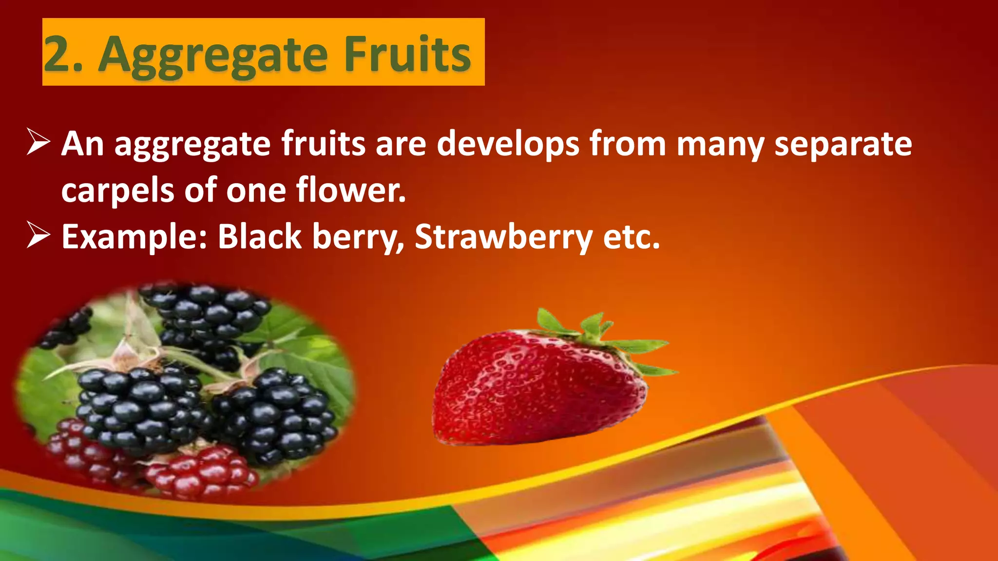 Classification of Fruit PPT