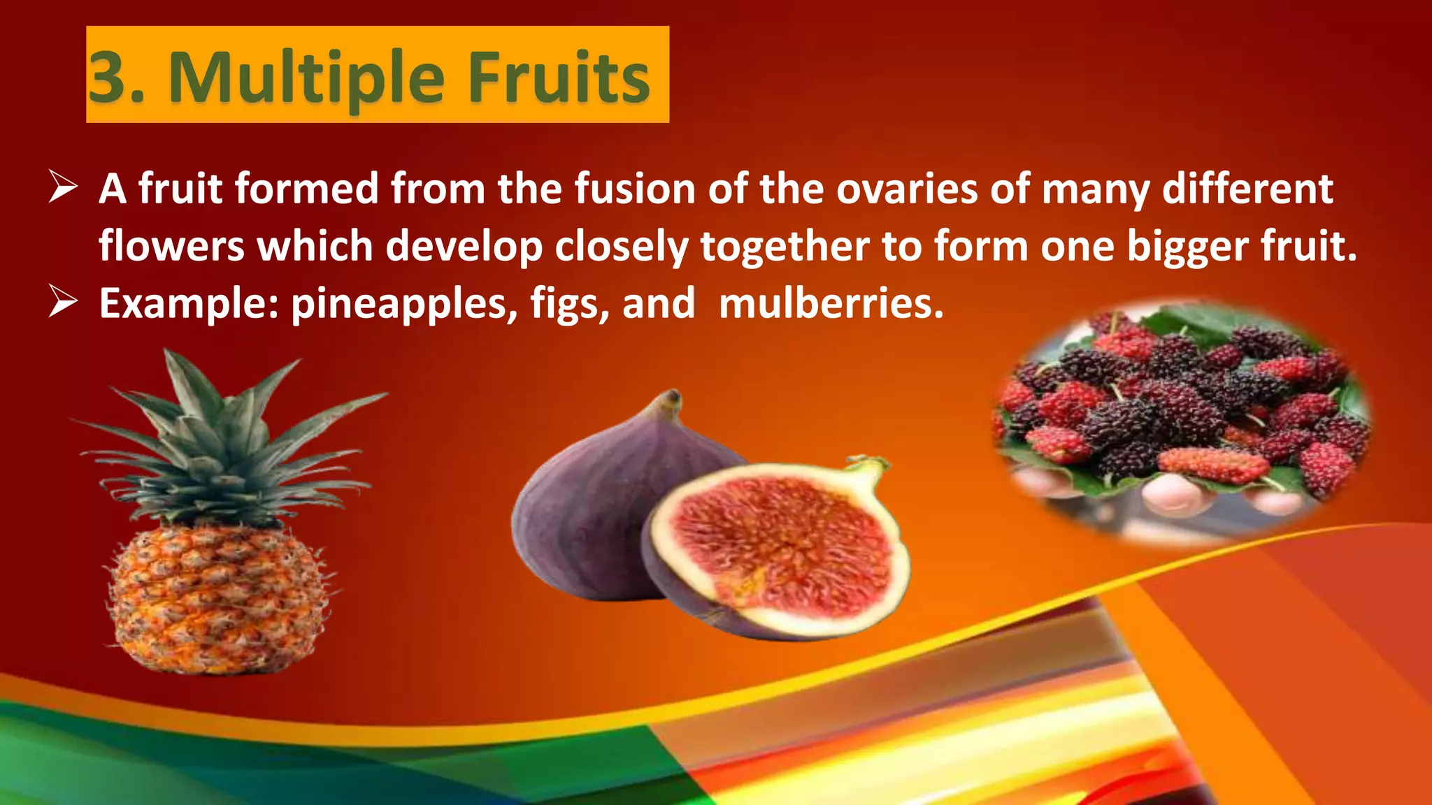 Classification of Fruit PPT