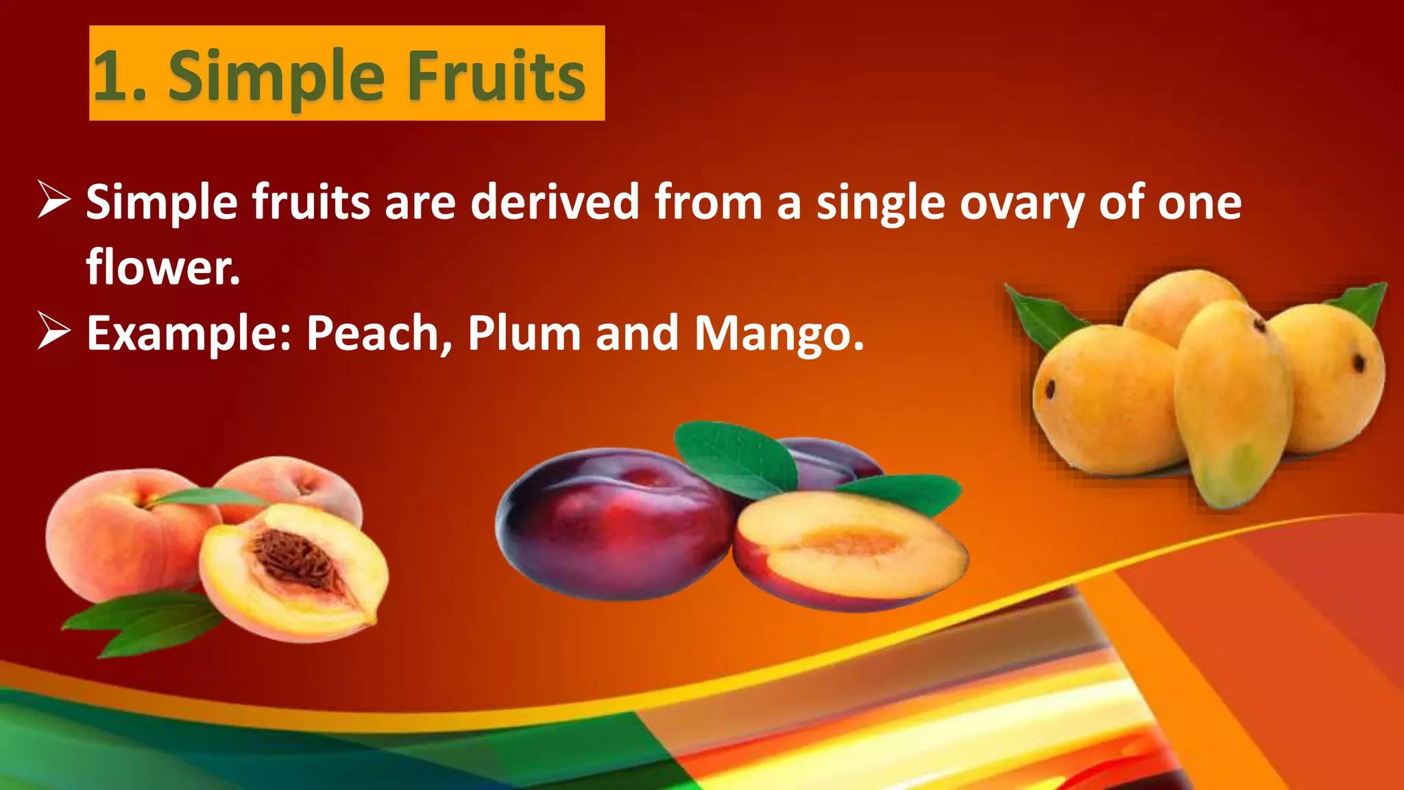 Classification of Fruit PPT