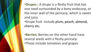 •Drupes : A drupe is a fleshy fruit that has
one seed surrounded by a bony endocarp, or
the inner wall of the pericarp, which is sweet
and juicy.
•Drupe fruit include plum, peach, almond,
cherry etc.
•Berries: Berries on the other hand have
several seeds with a fleshy pericarp.
•These include tomatoes and grapes
 