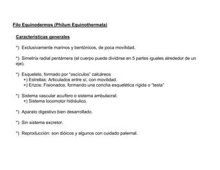 Filo Equinodermos (Philum Equinothermata)

 Características generales

 *) Exclusivamente marinos y bentónicos, de poca movilidad.

 *) Simetría radial pentámera (el cuerpo puede dividirse en 5 partes iguales alrededor de un
 eje).

 *) Esqueleto, formado por “oscículos” calcáreos
     +) Estrellas: Articulados entre sí, con movilidad.
     +) Erizos: Fisionados, formando una concha esquelética rígida o “testa”

 *) Sistema vascular acuífero o sistema ambulacral:
     +) Sistema locomotor hidráulico.

 *) Aparato digestivo bien desarrollado.

 *) Sin sistema excretor.

 *) Reproducción: son dióicos y algunos con cuidado paternal.
 