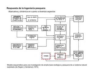 Respuesta de la Ingeniería pesquera
 Abarcativa y dinámica en cuanto a diversos aspectos




Modelo esquemático para una investigación de amplia base ecológica y pesquera de un sistema natural
explotado (de Regier y Henderson,1973)
 