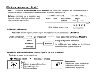 Efectivos pesqueros. “Stock”.
 Stock: Conjunto de supervivientes de las cohortes de un recurso pesquero, en un cierto instante o
 período de tiempo. Puede referirse a la biomasa o al número de individuos.

 Cohorte: miembros de la población que
 tienen la misma edad que nacieron en el
 mismo evento reproductivo



                                                    Ciclo vital de una cohorte
Población y Muestreo
     Población: misma especie, mismo lugar, mismo tiempo. En nuestro caso = UNIVERSO

  ¿Cómo medirla?                  Es imposible!!              Solo podemos tomar una Muestra
                        Stock                               Fotografía parcial y estática.
                      Población                Muestra      La población son todos los individuos
                      Universo                              representados por la muestra


Muestreo, el fundamento de la descripción de una población
 Posibles errores en el muestreo
        Medida Real               Medida Tomada
                 Azar:                                                   Sistemáticos:
                 *) Debidos al azar del muestreo,                        *) Debidos a Vicios de técnicas
                 *) Disminuyen con el n                                  *) No disminuyen con el n
                 *) Distribuidos al azar                                 *) Distribuidos agrupados
 