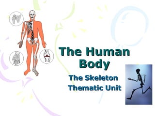 The Human Body The Skeleton  Thematic Unit 