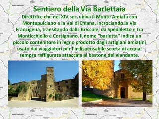 Sentiero della Via Barlettaia 
Direttrice che nel XIV sec. univa il Monte Amiata con 
Montepulciano e la Val di Chiana, in...