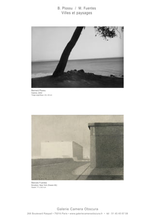 Galerie Camera Obscura
268 Boulevard Raspail • 75014 Paris • www.galeriecameraobscura.fr • tél : 01 45 45 67 08
Bernard Plossu
Hyères, 2002
Tirage argentique. 24 x 30 cm
Marcelo Fuentes
Brooklyn, New York (Dessin #2)
Dessin. 17 x 24,5 cm
B. Plossu / M. Fuentes
Villes et paysages
 