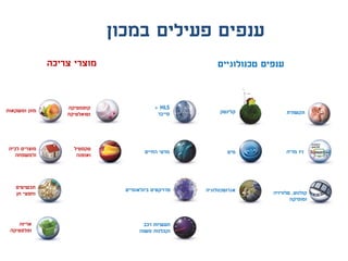 ‫במכון‬ ‫פעילים‬ ‫ענפים‬
‫טכנולוגיים‬ ‫ענפים‬‫צריכה‬ ‫מוצרי‬
‫ומשקאות‬ ‫מזון‬
‫לבית‬ ‫מוצרים‬
‫ולמשפחה‬
‫קוסמטיקה‬
‫וטואלטיקה‬
‫אריזה‬
‫ופלסטיקה‬
‫תכשיטים‬
‫חן‬ ‫וחפצי‬
‫החיים‬ ‫מדעי‬
HLS+
‫סייבר‬
‫רכב‬ ‫תעשיות‬
‫משנה‬ ‫וקבלנות‬
‫בינלאומיים‬ ‫פרויקטים‬
‫מים‬
‫קלינטק‬
‫אגרוטכנולוגיה‬
‫תקשורת‬
‫קולנוע‬,‫טלוויזיה‬
‫ומוסיקה‬
‫מדיה‬ ‫ניו‬‫טקסטיל‬
‫ואופנה‬
 