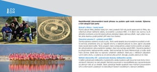 Nejoblíbenější dokumentární kanál přinese na podzim opět moře novinek. Vyberme
z nich alespoň tyto perly:
Srdcaři v Africe – český seriál
Různá zákoutí Afriky přestaví český tým, který poslední čtyři roky jezdil opakovaně do Afriky, aby
odtamtud přivezl nádherné záběry, srovnatelné s produkcí BBC. V 8 dílech nás vezmou na jih
afrického kontinentu a kromě krásné přírody představí nějaký zajímavý příběh, např. pytláci na sa-
fari, jízda drezínou podél pobřeží JAR nebo lovci žraloků.
Zázračná planeta II – unikátní seriál BBC
Země je planetou extrémů od pólu k pólu. Tento seriál detailně zkoumá extrémní prostředí od věč-
né temnoty antarktické zimy po nejvyšší stromy a nejhlubší jeskyně na Zemi, jejichž obyvatelé
nikdy neuvidí denní světlo. Tento program, který vznikal pět let a získal mnohá ocenění, je nejdraž-
ším přírodovědným dokumentárním seriálem, který kdy nechala natočit BBC. Zázračná planeta II
je pokračováním stejnojmenného seriálu. Sérii komentuje Sir David Attenborough a hudbu složil
Hans Zimmer. Seriál staví na naprosto unikátních záběrech, které jsou v některých případech
i první svého druhu, a vydáme se od ostrovů přes pohoří, džungle, pouště, pláně až do měst.
Vetřelci dávnověku VII – pokračování divácky oblíbeného seriálu
V dalším pokračování oblíbeného mysteriózního seriálu budeme opět zkoumat nové druhy mimo-
zemských intervencí na naší planetě. Nechybí pozorování a nevysvětlitelné jevy zaznamenávané
od dávných dob až po dnešek. Navíc pokračuje hledání spojitostí mezi možnými pozorováními
UFO a informacích uvedených ve starověkých textech rozluštěných z dávných artefaktů.
 