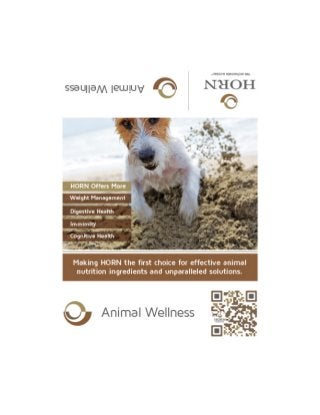 My Work: HORN Animal Wellness SupplySide West Press Kit Graphic