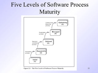 Comprehensive Overview of Software Engineering Processes and Maturity ...