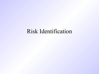 Risk Identification
 