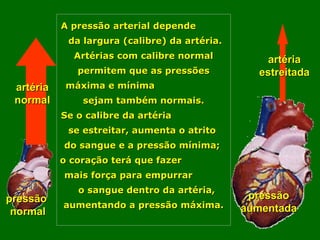 A pressão arterial depende  da largura (calibre) da artéria.  Artérias com calibre normal permitem que as pressões máxima e mínima  sejam também normais. Se o calibre da artéria  se estreitar, aumenta o atrito  do sangue e a pressão mínima;  o coração terá que fazer  mais força para empurrar  o sangue dentro da artéria, aumentando a pressão máxima. pressão  normal artéria normal pressão aumentada artéria estreitada 